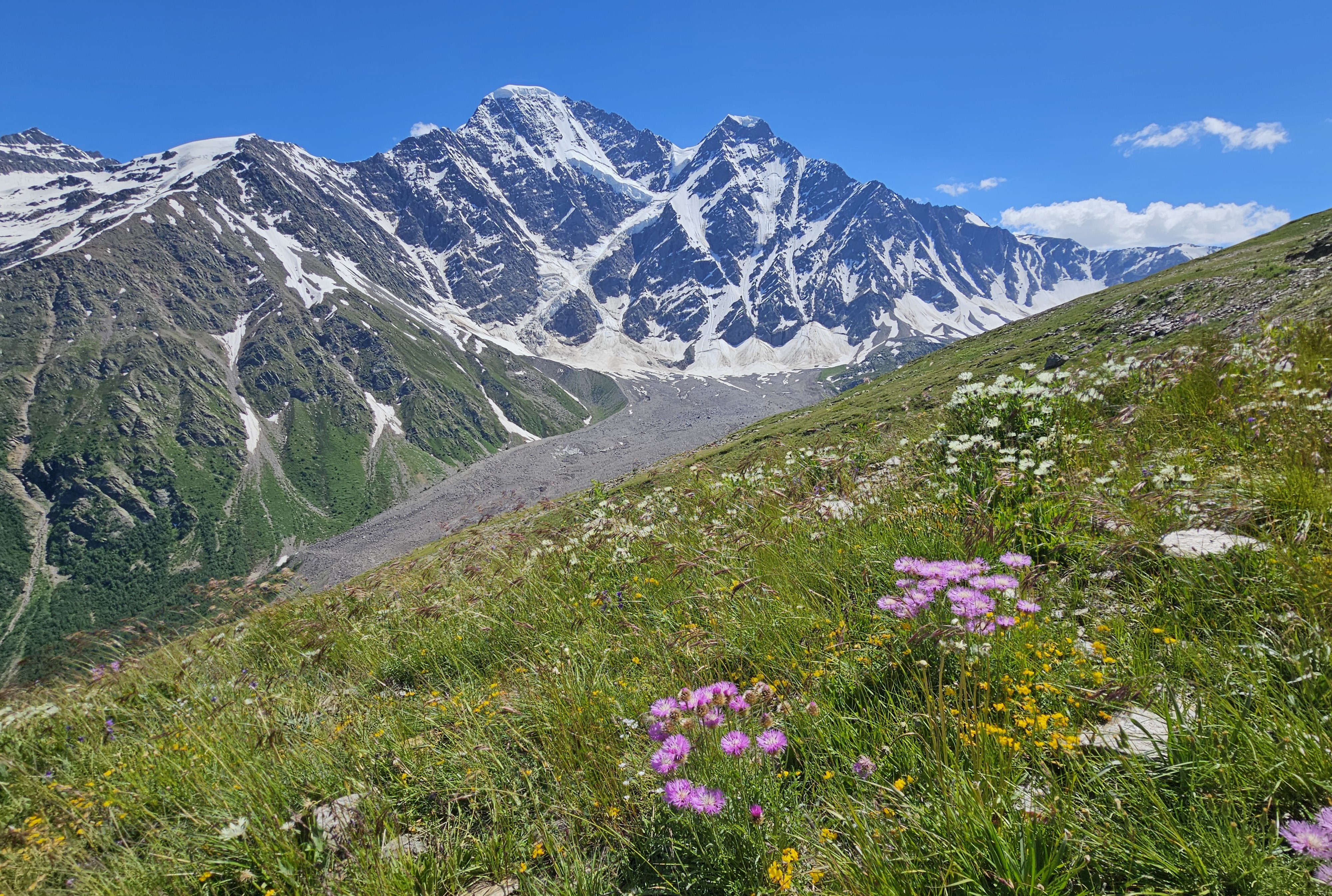 Elbrus